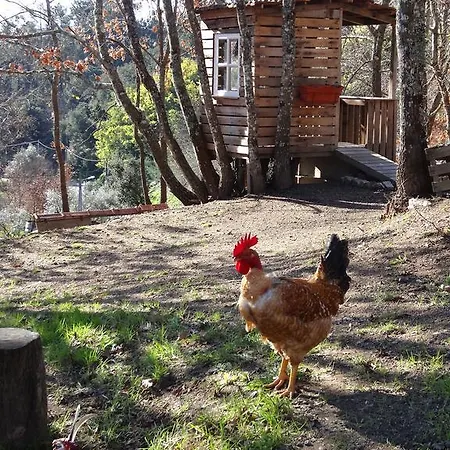 No'clock - Country House * 톤델라